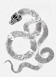 Nonvenomous snakes either swallow prey alive or kill by constriction. Gray Snake Illustration Rattlesnake Visual Arts Black And White Serpent Drawing Snake White Animals Png Pngegg