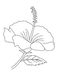 Hibiscus Flower Coloring Pages To Print In 2020 Flower Coloring Pages Coloring Pages Hibiscus Flower Drawing