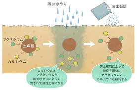 第2回 プランター菜園のための土づくり 土の化学性と生物性 土と根がカギ 吉田流プランター菜園 読みもの サカタのタネ 家庭菜園 園芸情報サイト 園芸通信