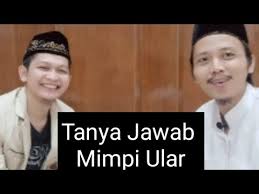 Mimpi melihat ular berwarna, artinya: Menjawab Misteri Mimpi Ular Youtube