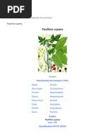 Image result for Eriosema flemingioides
