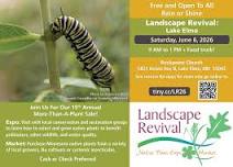 Landscape Revival: Lake Elmo