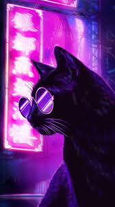 Shop by subject, style, room, best sellers & more. 750x1334 Cat Glasses Neon Purple Nights 4k Iphone 6 Iphone 6s Iphone 7 Hd 4k Wallpapers Images Backgrounds Photos And Pictures