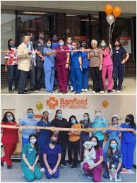 6541 mission gorge rd, san diego, ca 92120. Rasheena Guy Field Director Banfield Pet Hospital Linkedin