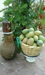 Pin By Chamsdine Chams On صور Fruits And Vegetables Cucumber Fruit