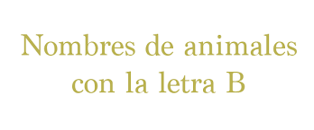 Todos Los Nombres De Animales Que Empiezan Por La Letra B