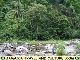 Castleton Botanical Gardens