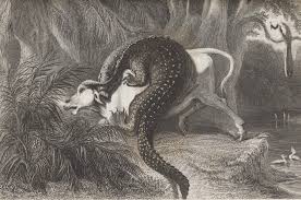 Travelling India with The Daniells ...