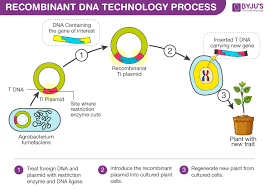 Maybe you would like to learn more about one of these? Is There A Difference Between A Gene Edited Organism And A Gmo The Question Has Important Implications For Regulation Genetic Literacy Project