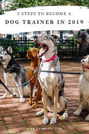 3 Steps To Become A Dog Trainer In 2021 Become A Dog Trainer Dog Trainer Dog Training