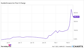 Warning of a market correction in 2021 blackstone analyst byron wien is one of the many experts who are warning investors of a looming market correction. Is It Too Late To Buy Hot Reddit Stock Sundial Growers The Motley Fool