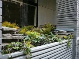 Maybe you would like to learn more about one of these? 41 Bond Greenroofs Com