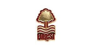 Nottingham forest v norwich city. Nottingham Forest F C Badge Amazon Co Uk Sports Outdoors