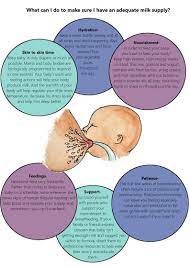 Pin On Lactancia Infografia