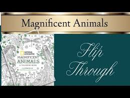 National Geographic Magnificent Animals Book Flip Through Youtube