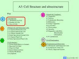 Structural and functional if its alive, must contain at least a single cell the function of an organism is the summation of functions of its. Pdf As Cie Cell Structure And Ultrastructure Xavier Daniel Academia Edu