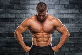 Gym fitness muscle bodybuilder strong exercise man workout muscular bodybuilding. Bodybuilding Hd Wallpaper 1080p Bodybuilder Bodybuilding Ohne Brust Schulter Korperliche Fitness 401175 Wallpaperuse