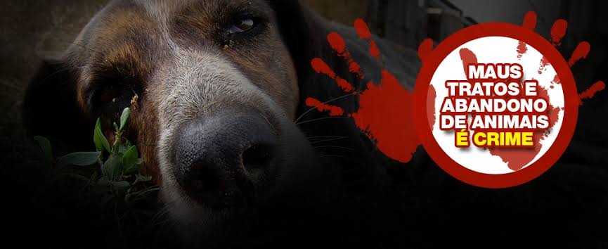 Resultado de imagem para maus tratos a animais é crime"