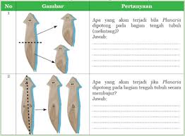 Kunci jawaban essai ipa kelas 9 halaman 194, 195 pemain pihak bertahan, apabila bola keluar lapangan melalui garis samping baik melambung atau. Q3sm J2sayt0m