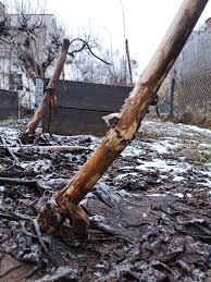 Image result for site:byggahus.se hempulare