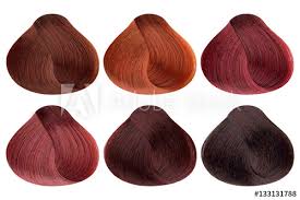 Set Of Locks Of Six Different Red Hair Color Samples Copper