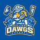 Hockey Night with the Roanoke Rail Yard Dawgs event image