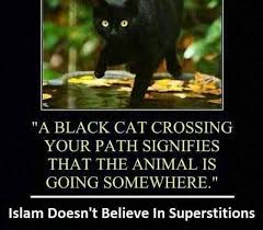 In this article, we'll look at these dreams subjectively and draw out the most plausible interpretations. Meaning Of Black Cat In Dreams In Islam Catwalls