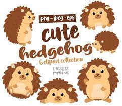Hedgehog Clipart Woodland Animals Fall Graphics Woodland Etsy Cute Hedgehog Woodland Animals Clip Art