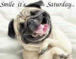 Smile Its Saturday Funny Pug Pictures Funny Dog Pictures Pugs Funny