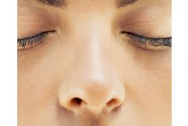Memiliki hidung yang mancung merupakan dambaan setiap orang, karena dapat menambah daya tarik bagi seseorang baik itu pria ataupun wanita. Hidung Kering Jadi Gejala Baru Virus Corona Republika Online