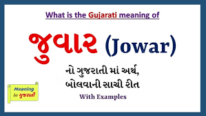 Annular Solar Eclipse 2020: Can Surya Grahan Actually Impact Our Health?  Here Is What You Should Know | The Times Of India