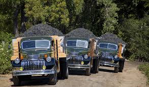 Image result for Vineyard Green 1950 Truck