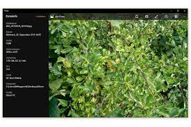 Ausprobiert: Allview X2 Xtreme 6 ...