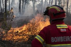 Vegetação pega fogo após disparos de fogos de artifício em guriri. Dominada Reactivacao De Fogo Em Odemira Incendios Florestais Publico