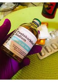 Buy Nembutal online, Buy nembutal pentobarbital sodium online, Order  nembutal for sale, Nembutal Pentobarbital Capsules, powder and pills |  turgoviq.com