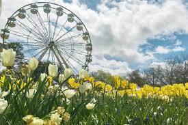 Over the next century all the ruling kings and queen victoria happened to have birthdays between may and august when the weather is warmer in britain. National Holidays In Act In 2021 Office Holidays