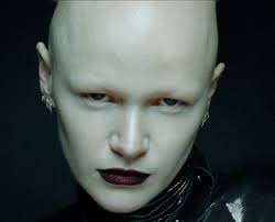 Last year, while @cocolabbee was in town, we wanted to meet and collaborate 