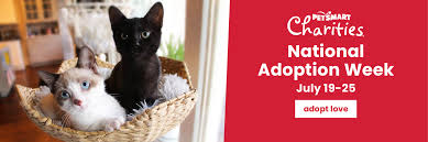 If you are considering adopting a pet, private pet adoptions by owner are a great way to go. Nloqetjn0eg Zm