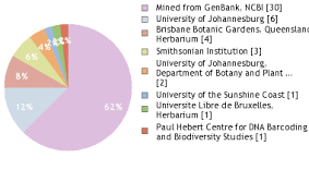 Image result for Elaeodendron matabelicum
