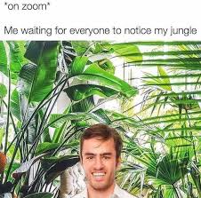 24 Plant Memes For The Botanically Minded In 2021 Plants Botanical Memes