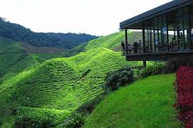 If you want to travel penang to cameron highlands by bus, there are many bus lines that ply daily, like billion stars and unititi express. Cameron Highland Day Tour From Kuala Lumpur 2021