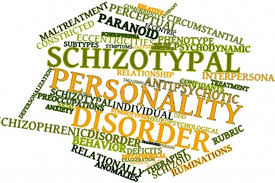 Image result for Personality Disorder