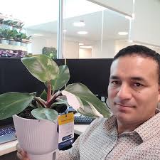 It's National Houseplant Appreciation Day