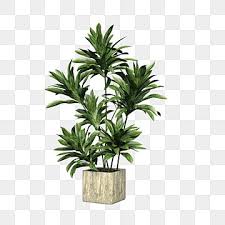 Square Ceramic Flower Pot Green Plant Ceramic Flower Pot Green Plant Png Transparent Clipart Image And Psd File For Free Download In 2020 Green Flower Pots Spring Flowers Background Flower Background Wallpaper