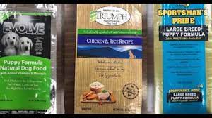 Fda Expands List Of Recalled Dog Food 9 Brands Pulled For Making Dogs Violently Ill Wqad Com