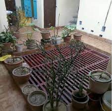 We did not find results for: Modern Vision Guest House Varanasi Guest House Free Cancellation Price Address Reviews