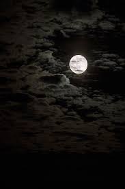 The Moonlit Dolunay Duvar Kagidi Duvar