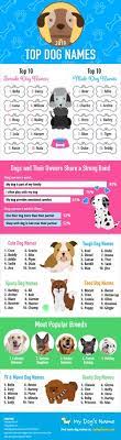 For a big batch of more female names for your family's new puppy, check out this massive list of creative ideas. 130 Dog Names Ideas In 2021 Dog Names Puppy Names Girl Dog Names