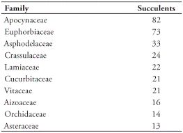 Image result for Nesaea sarcophylla