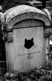 Mandy Acevedo (habanero666)